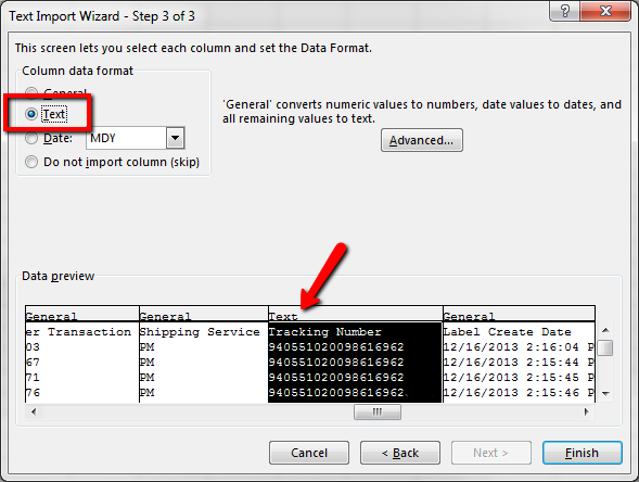 Pop-up-Fenster des Excel-Textimport-Assistenten mit ausgewählter Option „Text“ für Datenformat der Spalte. Der rote Pfeil zeigt auf die hervorgehobene Textspalte